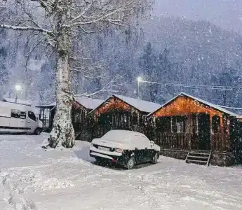 Сокол - 51