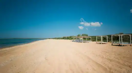 Новоотрадное-1 - 41