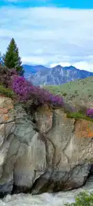 Таш Баатыр - 68