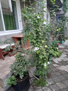 Людмила - 34
