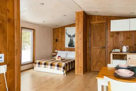 База отдыха на опушке - 101