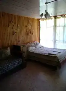 Дельфин - 20