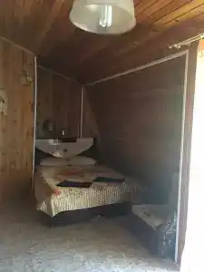 Дельфин - 21