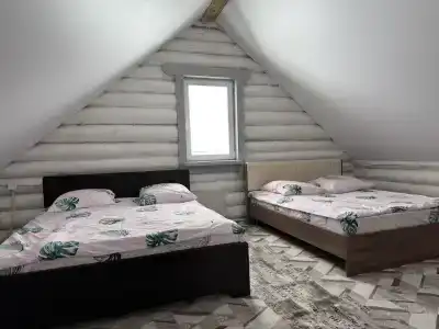 Медведи - 16