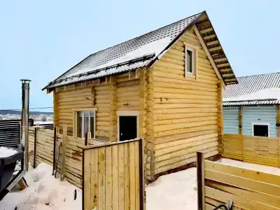 Медведи - 12