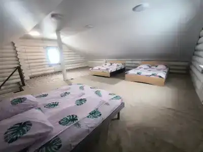 Медведи - 32