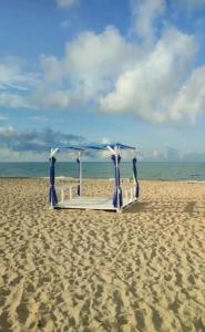 ВесеЛофт - 153