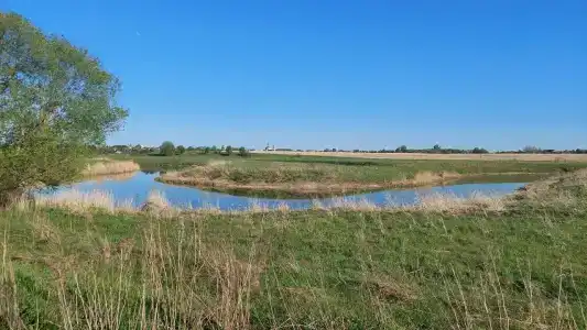 Кибольские соловьи - 53