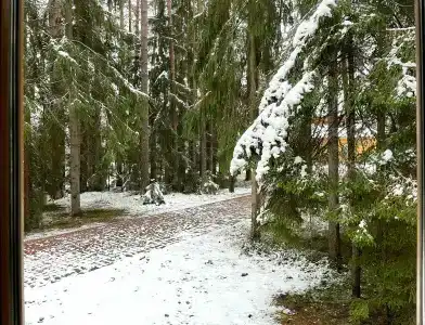 Чайка - 82