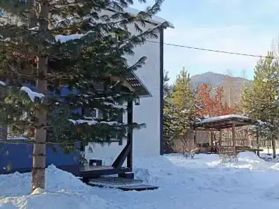 Лесорёк - 5