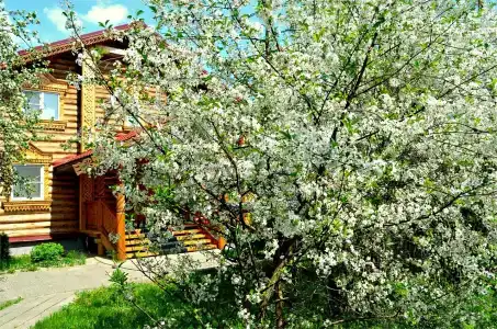 Эко Суздаль Inn - 127