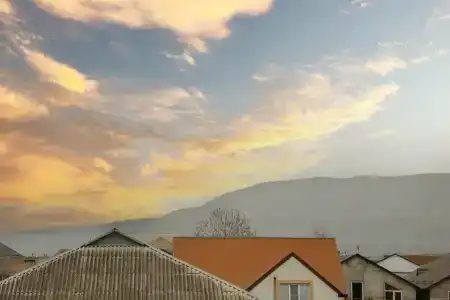 Бархал - 80