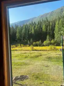 Лесной берег - 57