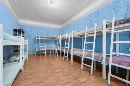 Тапки - 63