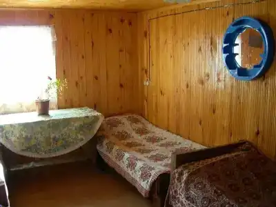 Черный Кот - 12