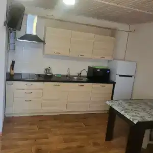 Эльф - 69