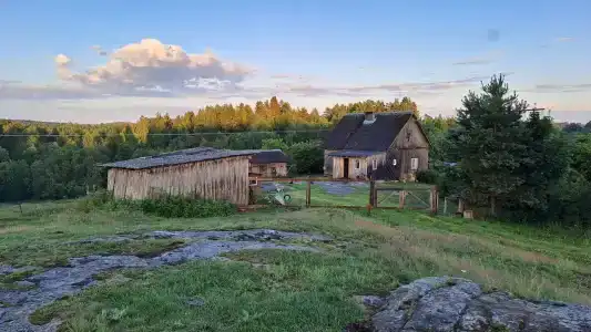 Вечера на Хуторе - 84