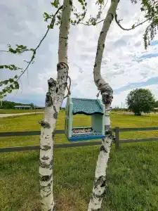 Дубльдом - 409