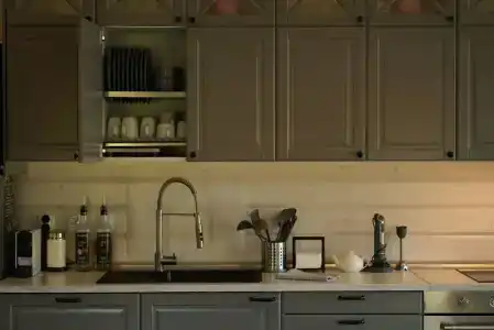 Дубльдом - 481