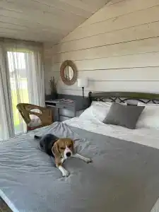 Дубльдом - 524