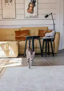 Дубльдом - 214