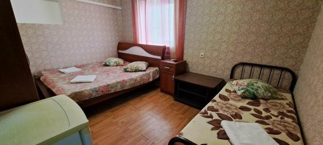 Алиса - 43