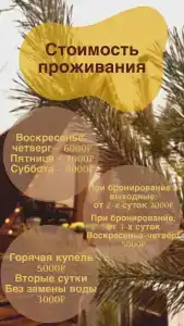 Гнездо - 79