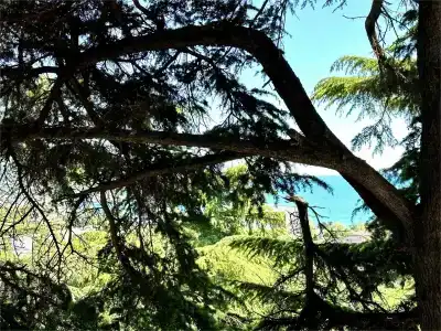 Империал 2011 - 72