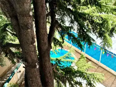 Империал 2011 - 167