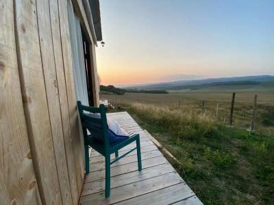 Живой дом - 27