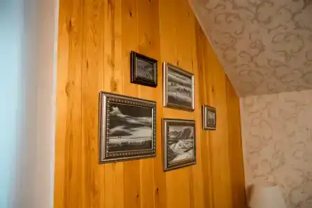 Леонтоподиум - 96