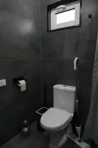 Горизонт - 66