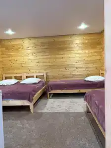 Лесной берег - 50