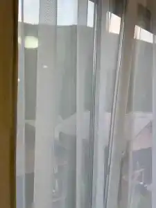 Лесной берег - 93