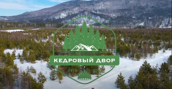 Кедр - 62