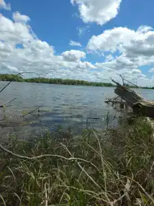 Добро - 36