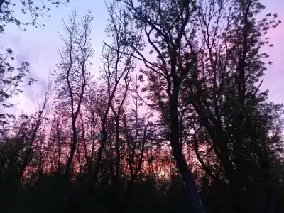 Домашний уют - 77