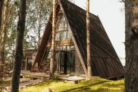 Магия леса - 123