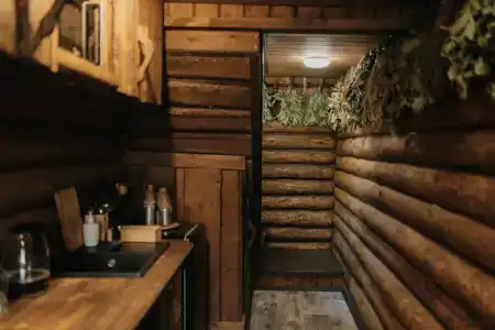 Магия леса - 117