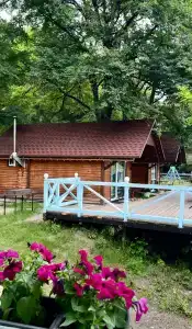 Кактус Арт - 92
