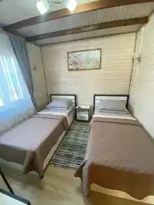 Курени - 50