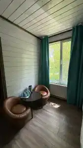 Кактус Арт - 108
