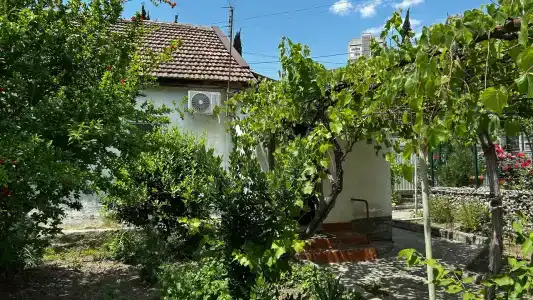 Tais - 58
