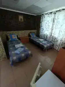 Аист - 9