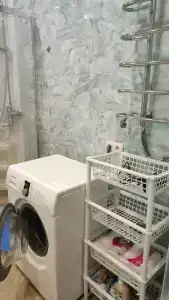 Горный кедр - 44