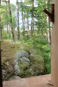 Парк Ладога - 55