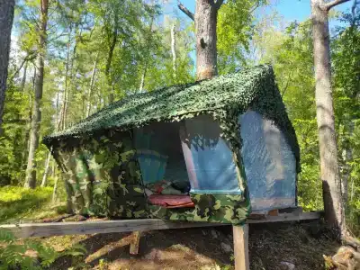 Парк Ладога - 62
