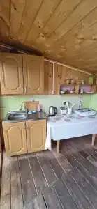 Алтайские встречи - 49
