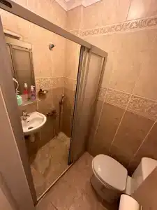 Antique - 207