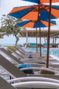 Ark Bar Beach Resort - 54